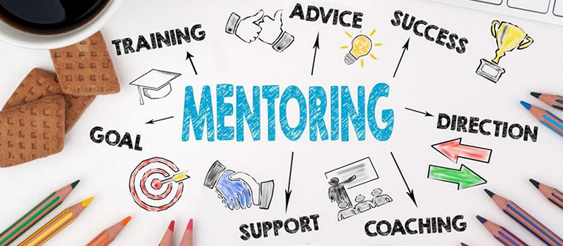 How to Find a Business Mentor in | TalkToPaul Real Estate