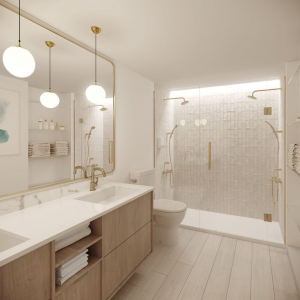 Talk to Paul TTP Hassan Whiteside, an NBA star, purchases a Miami Pied-a-Terre Bathroom